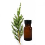 olio cipresso1